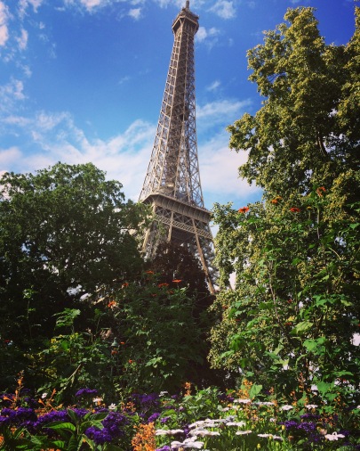 View of the Eiffel Tower from a nearby garden